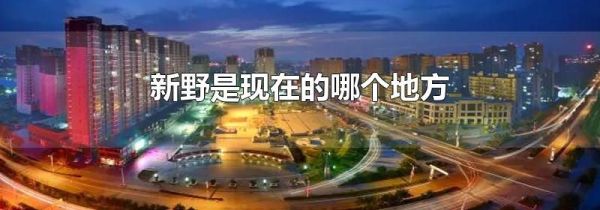 新野是现在的哪个地方