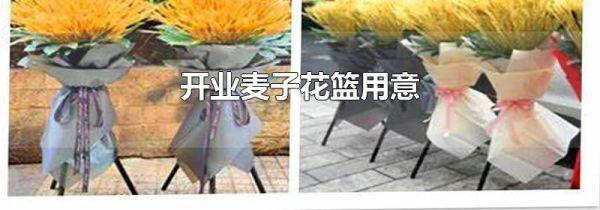 开业麦子花篮用意