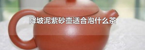 降坡泥紫砂壶适合泡什么茶