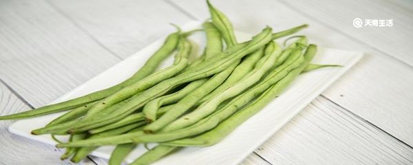 豆角是什么茎 豆角属于什么茎