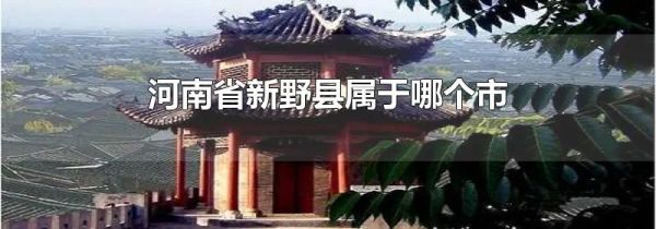 河南省新野县属于哪个市