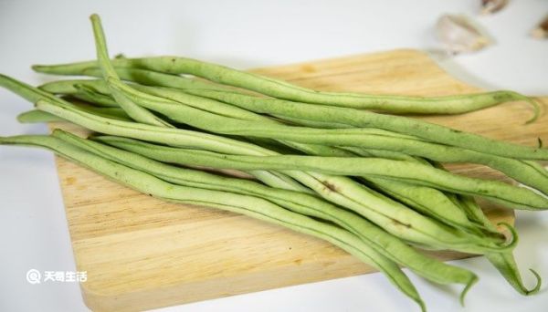 豆角是什么茎 豆角属于什么茎