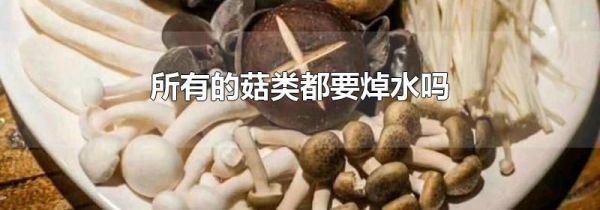 所有的菇类都要焯水吗