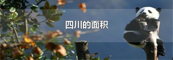 四川的面积