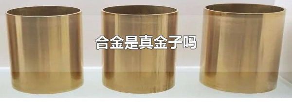 合金是真金子吗