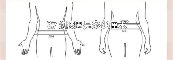 27的腰围是多少厘米