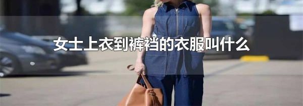 女士上衣到裤裆的衣服叫什么