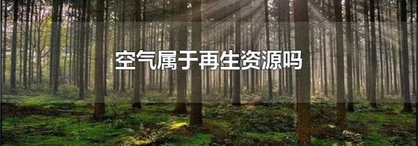 空气属于再生资源吗