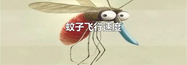蚊子飞行速度