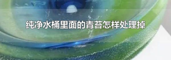 纯净水桶里面的青苔怎样处理掉