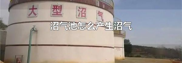 沼气池怎么产生沼气