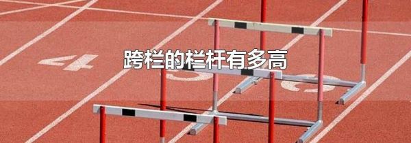 跨栏的栏杆有多高