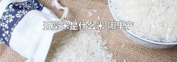 五常米是什么米 哪里产