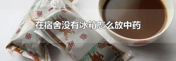 在宿舍没有冰箱怎么放中药