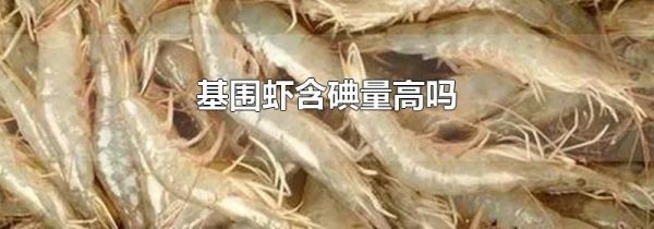 基围虾含碘量高吗
