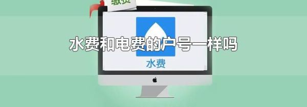 水费和电费的户号一样吗