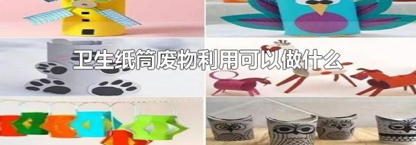 卫生纸筒废物利用可以做什么