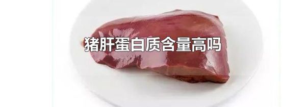 猪肝蛋白质含量高吗