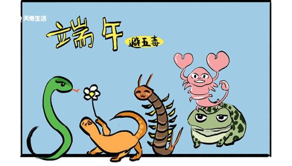 蟾蜍有毒吗 黄色蟾蜍有毒吗