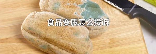 食品变质怎么投诉