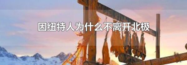 因纽特人为什么不离开北极