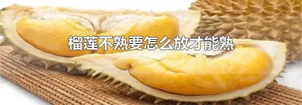 榴莲不熟要怎么放才能熟