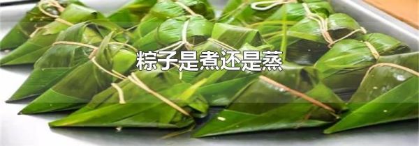 粽子是煮还是蒸