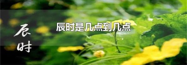 辰时是几点到几点