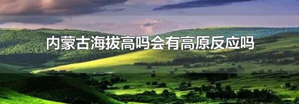 内蒙古海拔高吗会有高原反应吗