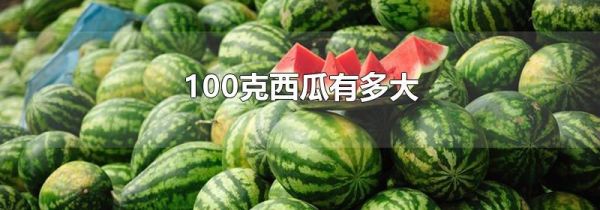 100克西瓜有多大