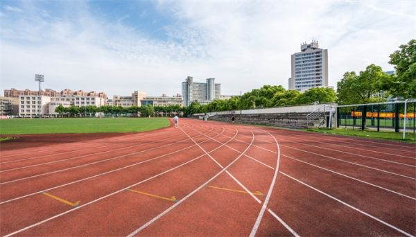 什么是野鸡大学 野鸡大学的意思