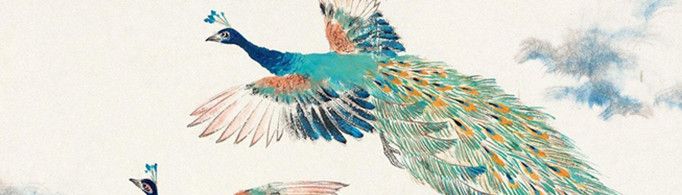 孔雀为什么东南飞？