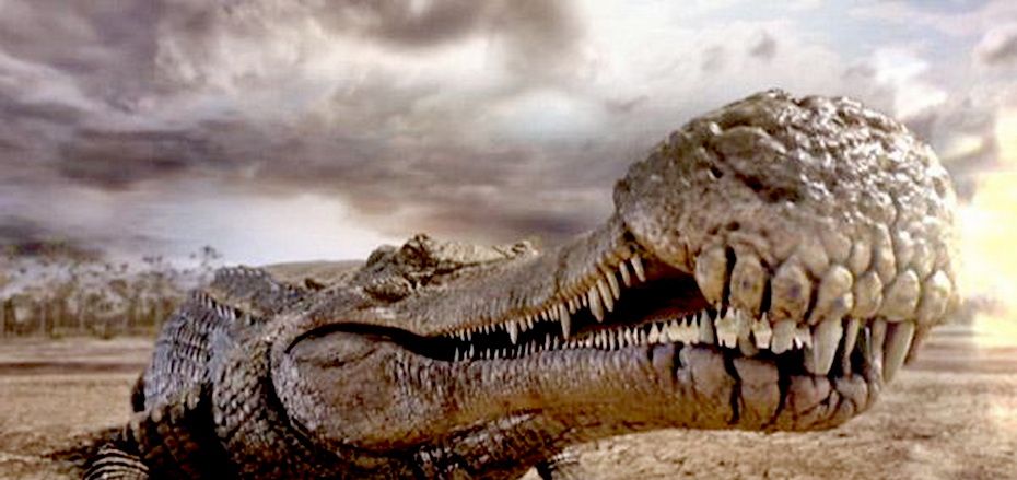鳄鱼为什么称为活化石？