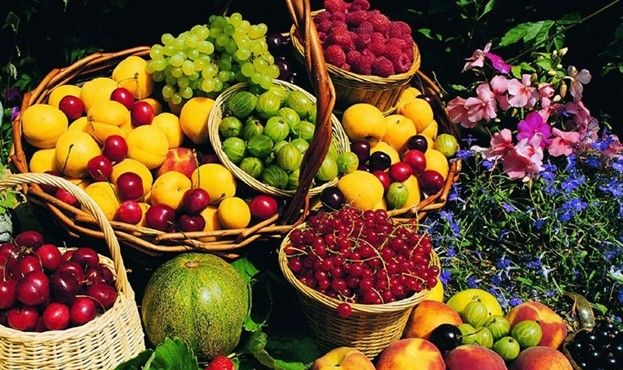 水果为什么大多数都是圆的？