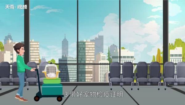 宠物托运流程 宠物托运的流程是什么