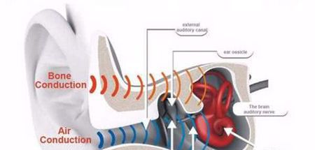 为什么听自己的声音很奇怪?