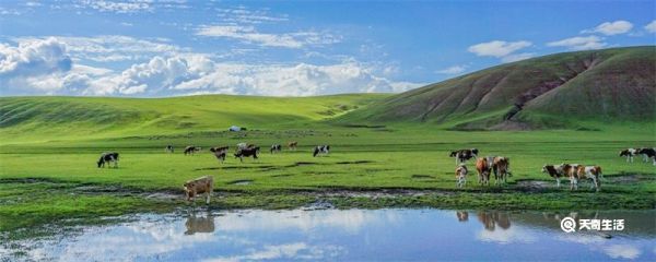 中国最大的城市是哪个 中国最大的城市是哪个城市