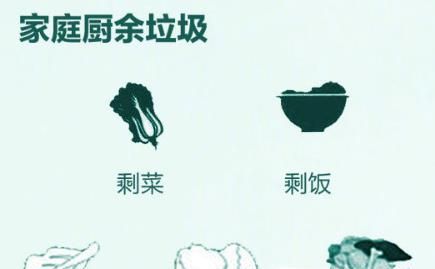 最新版垃圾分类指南