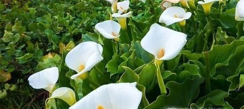 高温天气如何防暑降温？