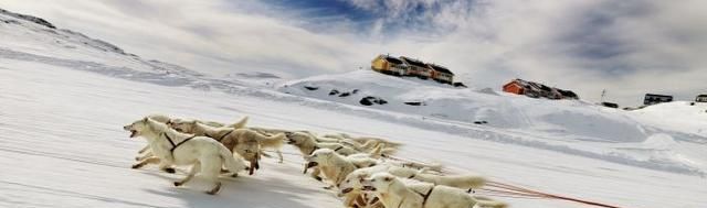 格陵兰岛为什么属于丹麦？