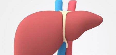 葵花子的副作用