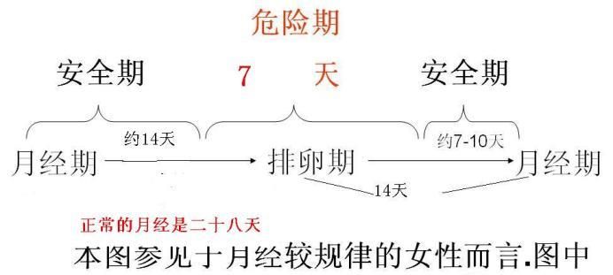 排卵试纸怎么用呢