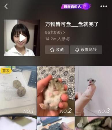 盘她是什么意思？