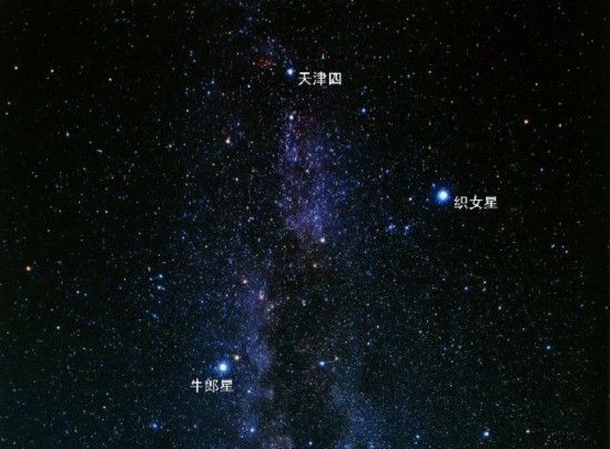 七夕为什么是情人节?