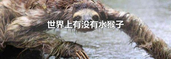 世界上有没有水猴子