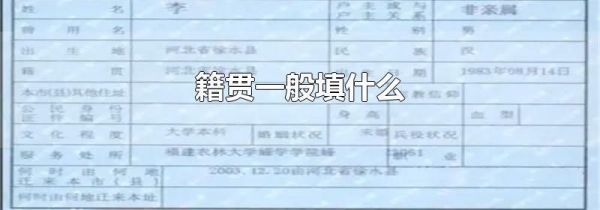 籍贯一般填什么