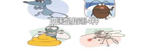 四害是指哪4种