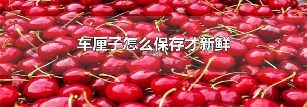 车厘子怎么保存才新鲜