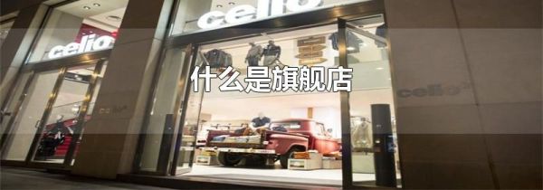 什么是旗舰店