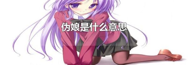 伪娘是什么意思
